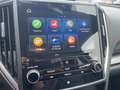 Subaru XV 2.0i e-BOXER Luxury AWD Grijs - thumbnail 9