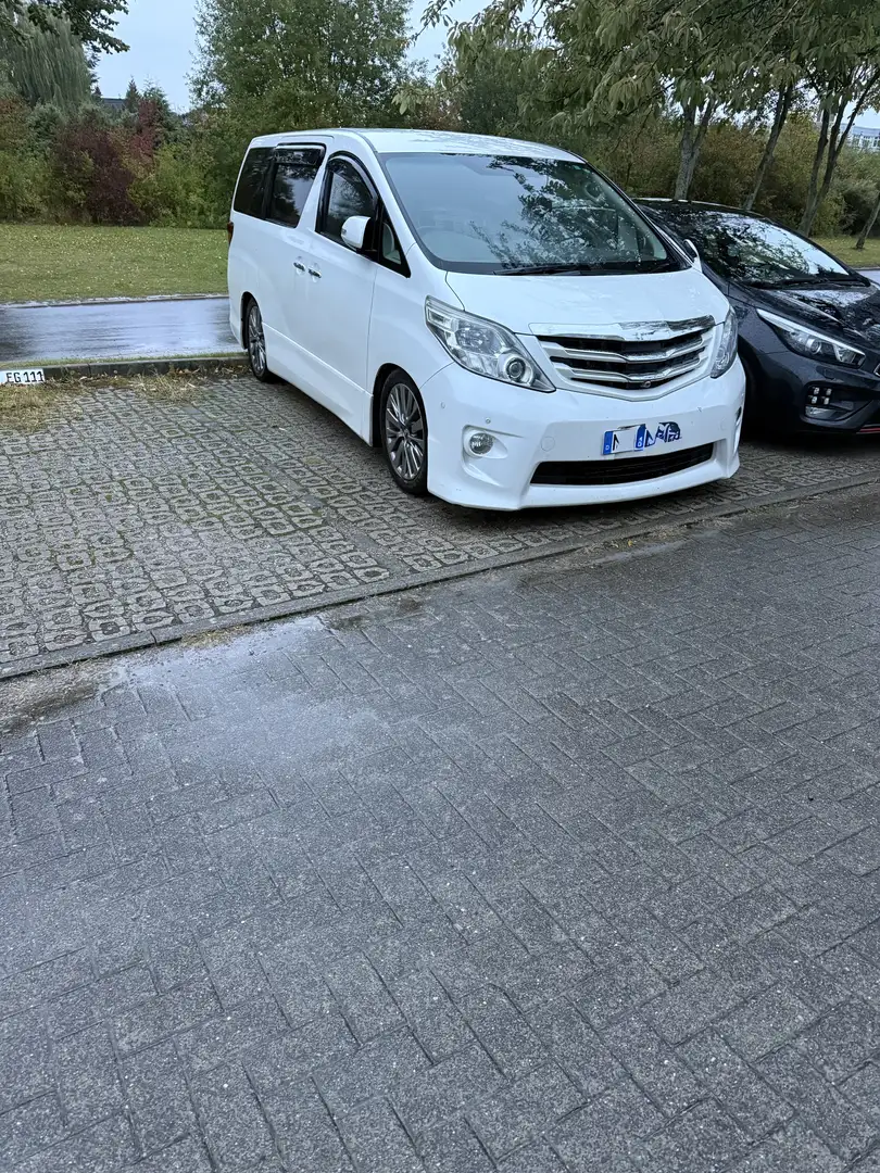 Toyota Alphard Weiß - 2