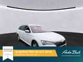 Skoda Superb Combi Style 2.0TDI Navi Virtual GRA AHK Weiß - thumbnail 2