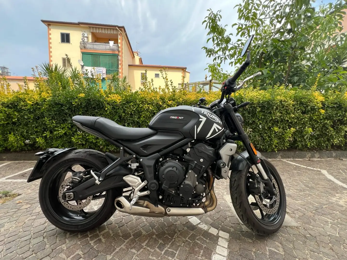 Triumph Trident 660 - 1