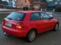 Audi A3 1.9 TDI Attraction Klima Schiebedach Automatik Rouge - thumbnail 8