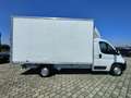 Peugeot Boxer 2.2 BLUEHDI 140CV  FURGONATO ALLUMINIO L4 Alb - thumbnail 11