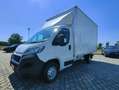 Peugeot Boxer 2.2 BLUEHDI 140CV FURGONATO BOX ALLUMINIO L4 Bianco - thumbnail 43