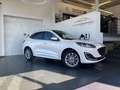 Ford Kuga PLUG IN HYBRID  BENZINE AUTOMAAT FULL OPTION Wit - thumbnail 1