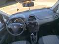 Fiat Punto 5p 1.2 Street E6 km 77.841 - thumbnail 8