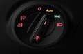 SEAT Ibiza 1.5 TSI DSG FR Black Pano ACC Kamera Beats Grau - thumbnail 24
