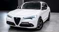 Alfa Romeo Stelvio 2.2 T 209CV Q4 SPORT EDITION TETTO APR. PELLE FULL Weiß - thumbnail 1