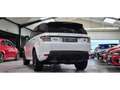 Land Rover Range Rover Sport Range Rover Sport 3.0 SD V6 - BVA  - Autobiography Blanc - thumbnail 5