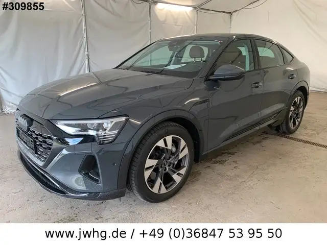 Audi Q8 e-tron Sportback quattro ACC+/LEDER/KAMERA/20