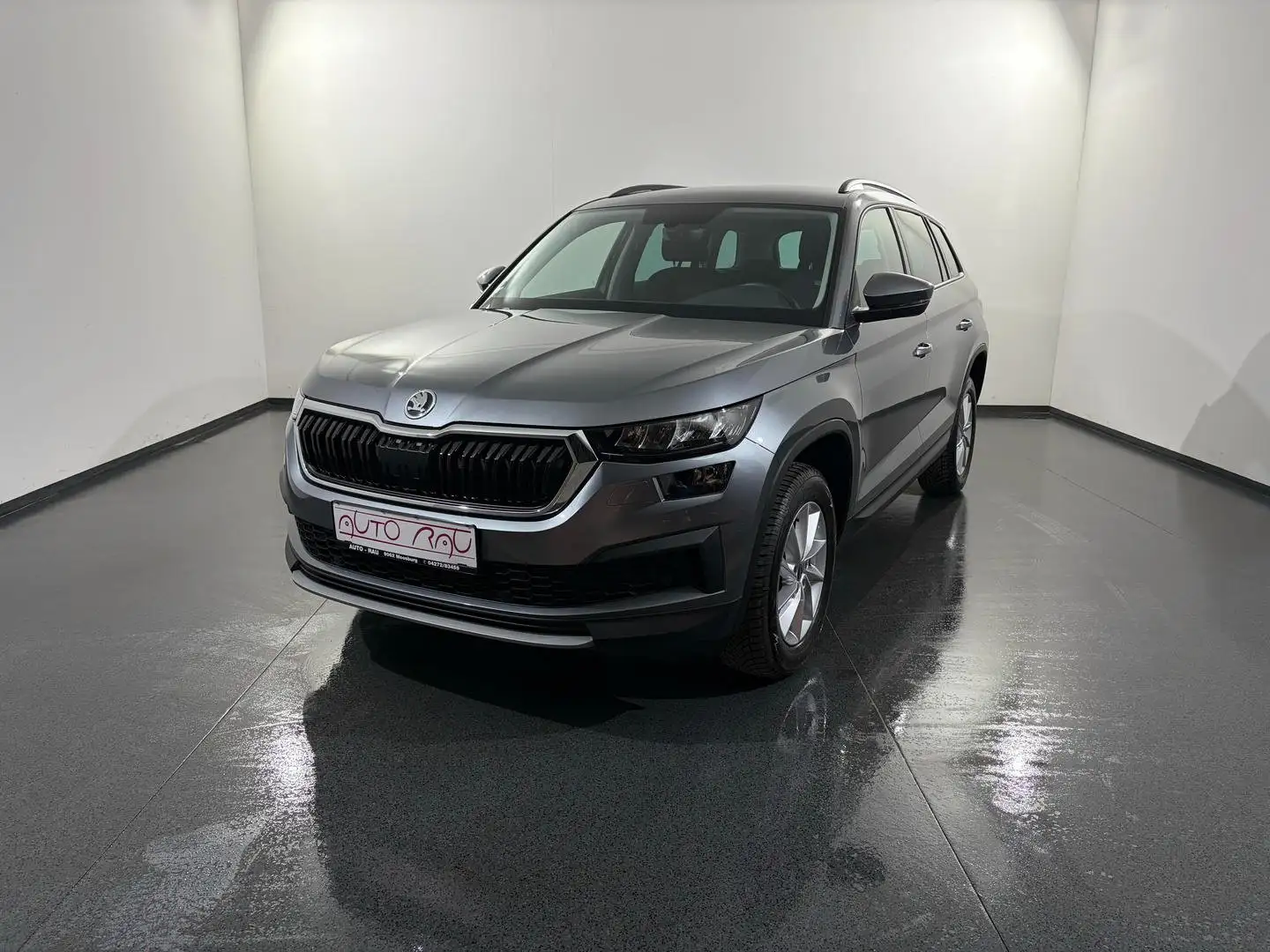 Skoda Kodiaq 2.0 TDI Ambition 4x4 DSG *LED*AHK*RFK* Grau - 2