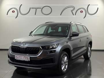 2.0 TDI Ambition 4x4 DSG *LED*AHK*RFK*