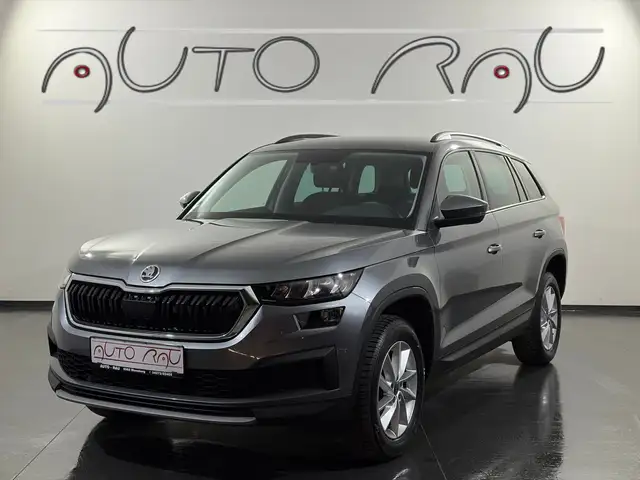 Skoda Kodiaq 2.0 TDI Ambition 4x4 DSG *LED*AHK*RFK*