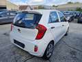 Kia Picanto Picanto 1.0i Lounge ISG Blanc - thumbnail 7
