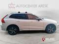 Volvo XC60 T6 Recharge Plug-in Hybrid AWD R-design Bianco - thumbnail 7