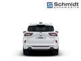 Ford Kuga ST-Line X 2,5L Duratec PHEV 243PS A FWD Weiß - thumbnail 8