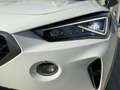 CUPRA Formentor VZ 2.0 TSI DSG 4DRIVE LED+NAVI+KAMERA Weiß - thumbnail 17