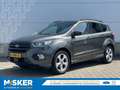 Ford Kuga 1.5 EcoB. ST Line 150pk TREKHAAK WINTERPACK CRUISE Grijs - thumbnail 1