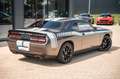 Dodge Challenger 3.6 SXT LPG BRC LED KAMERA ALCANTARA Gris - thumbnail 14