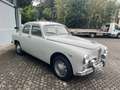 Alfa Romeo Sonstige 1900 Super Grau - thumbnail 6