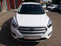 Ford Kuga Sitzheizung*Klima*Tempomat*Isofix*ab 199€ Wit - thumbnail 8
