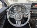 Mazda 2 G-90 Autom HOMURA *RKamera*Lenkradheiz*LED* Blanco - thumbnail 10
