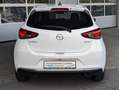 Mazda 2 G-90 Autom HOMURA *RKamera*Lenkradheiz*LED* Blanco - thumbnail 5