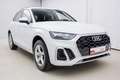 Audi Q5 40 TDI S-TRO*QUA*S-LINE*LED*AHK*NAV*GRA*KLIMA Weiß - thumbnail 4
