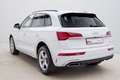 Audi Q5 40 TDI S-TRO*QUA*S-LINE*LED*AHK*NAV*GRA*KLIMA Weiß - thumbnail 5