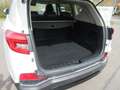 SsangYong Rexton 2.2 Diesel e-XDi 220 Sapphire 4WD Weiß - thumbnail 6