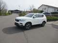 SsangYong Rexton 2.2 Diesel e-XDi 220 Sapphire 4WD Weiß - thumbnail 5