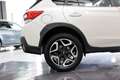 Subaru XV 2.0i Hybrid Executive Plus CVT Blanco - thumbnail 14