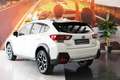 Subaru XV 2.0i Hybrid Executive Plus CVT Blanco - thumbnail 12