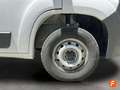 Fiat Ducato L2H2 MULTIJET 140cv Blanco - thumbnail 15