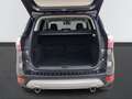 Ford Kuga 1.5 Eco Boost Titanium Navi Xenon Gris - thumbnail 14