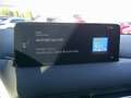 Mazda CX-5 SKYACTIV 165 Advantage NAVI/HUD/360° Blau - thumbnail 13