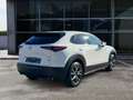 Mazda CX-30 Edition 100 2.0 SKYACTIV-X M Hybrid 360°Kamera HUD Weiß - thumbnail 5