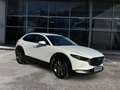 Mazda CX-30 Edition 100 2.0 SKYACTIV-X M Hybrid 360°Kamera HUD Weiß - thumbnail 6
