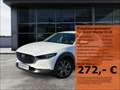 Mazda CX-30 Edition 100 2.0 SKYACTIV-X M Hybrid 360°Kamera HUD Weiß - thumbnail 1