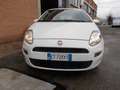 Fiat Punto Punto 1.3 MJT II 75 CV 5 porte    NO CLIMATIZZATO Bianco - thumbnail 1