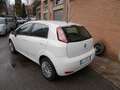 Fiat Punto Punto 1.3 MJT II 75 CV 5 porte    NO CLIMATIZZATO Bianco - thumbnail 12