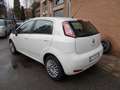 Fiat Punto Punto 1.3 MJT II 75 CV 5 porte    NO CLIMATIZZATO Bianco - thumbnail 9