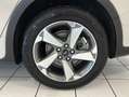Ford Focus 1.0 Active Turnier NAVI|LED|KAM|AHK|S&LHZG Weiß - thumbnail 30