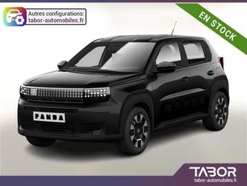 Grande Hybrid 110 Icon CarP PDC DigC