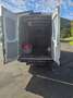 Iveco Daily 35S16 Aut. Maxi Weiß - thumbnail 8