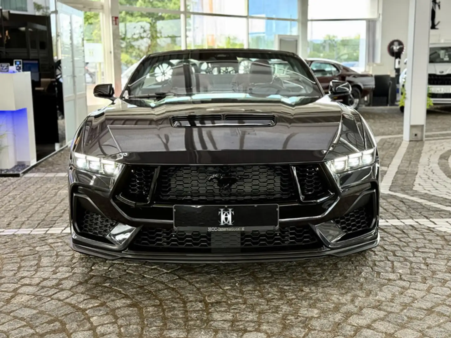 Ford Mustang 5.0 GT V8 US-Variante 487 PS ohne DPF Grau - 2