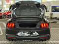 Ford Mustang 5.0 GT V8 US-Variante 487 PS ohne OPF Grau - thumbnail 17
