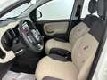 Fiat Panda 1.2  Easy Bianco - thumbnail 15