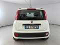 Fiat Panda 1.2  Easy Bianco - thumbnail 4