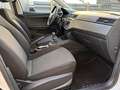 SEAT Arona 1.0 TSI Ecomotive S&S Style 95 Blanco - thumbnail 22