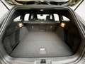 Ford Focus Turnier | ST-Line Style | Erstbesitz Grau - thumbnail 21